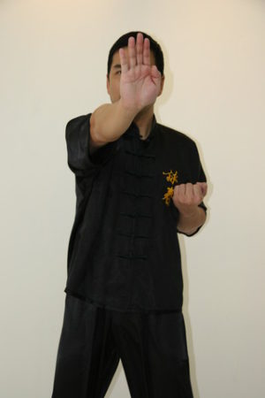 Chung Jeung – Wing Chun Lexicon